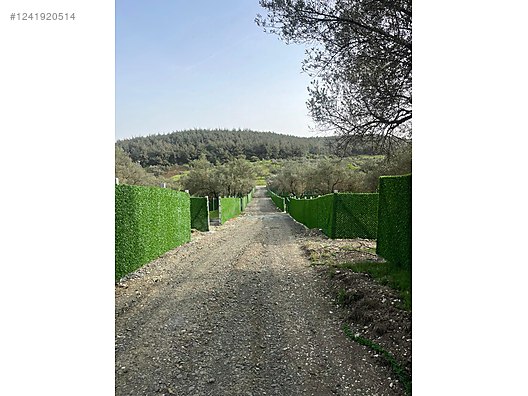 İZMİR-ALİAĞA-BOZKÖY’DE TARLA’NIN 300 M² ‘Sİ SATILIKTIR - İZMİR ALİAĞA fotoğraf 9